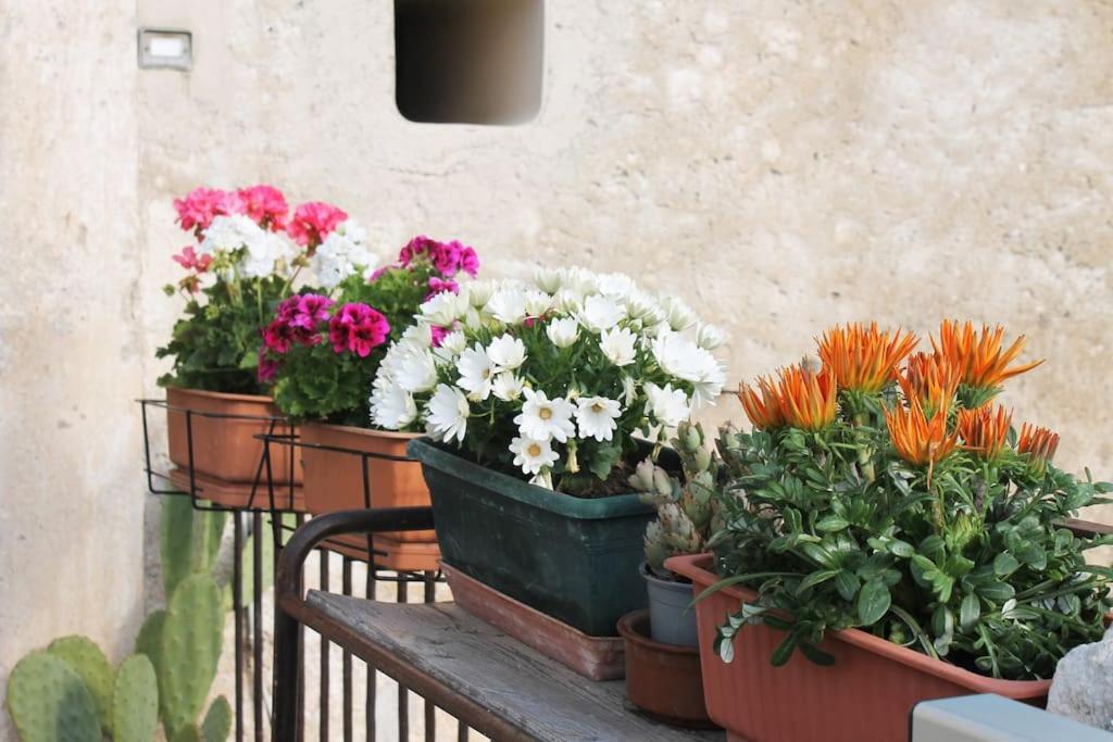 Casa Masseria Dell'800 Gargano. Le Mignole Monte SantʼAngelo Eksteriør bilde
