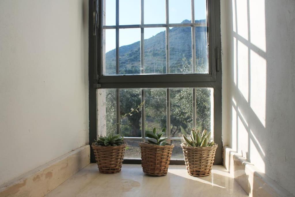 Casa Masseria Dell'800 Gargano. Le Mignole Monte SantʼAngelo Eksteriør bilde