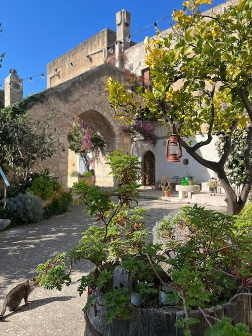 Casa Masseria Dell'800 Gargano. Le Mignole Monte SantʼAngelo Eksteriør bilde