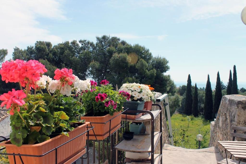 Casa Masseria Dell'800 Gargano. Le Mignole Monte SantʼAngelo Eksteriør bilde