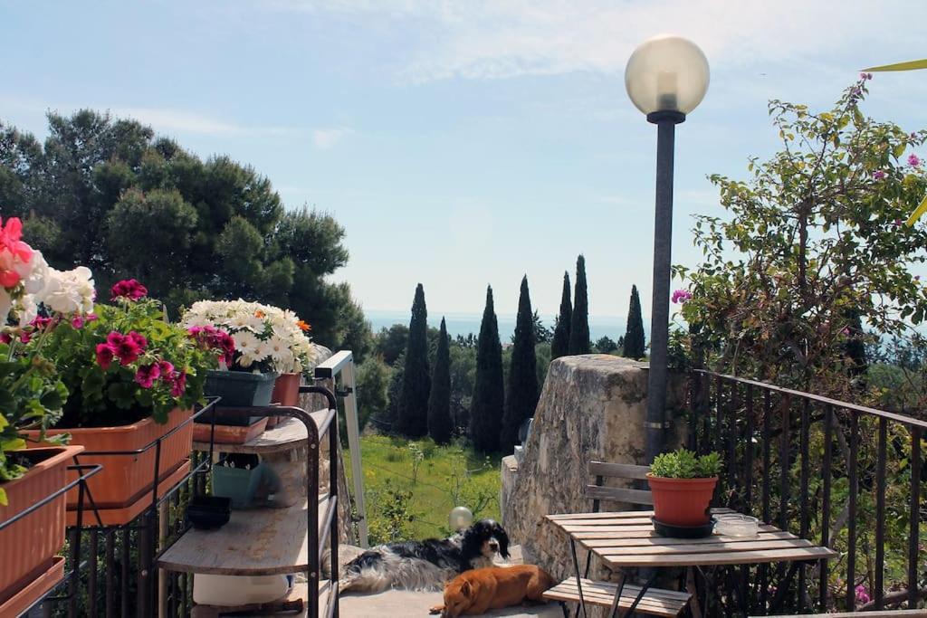 Casa Masseria Dell'800 Gargano. Le Mignole Monte SantʼAngelo Eksteriør bilde